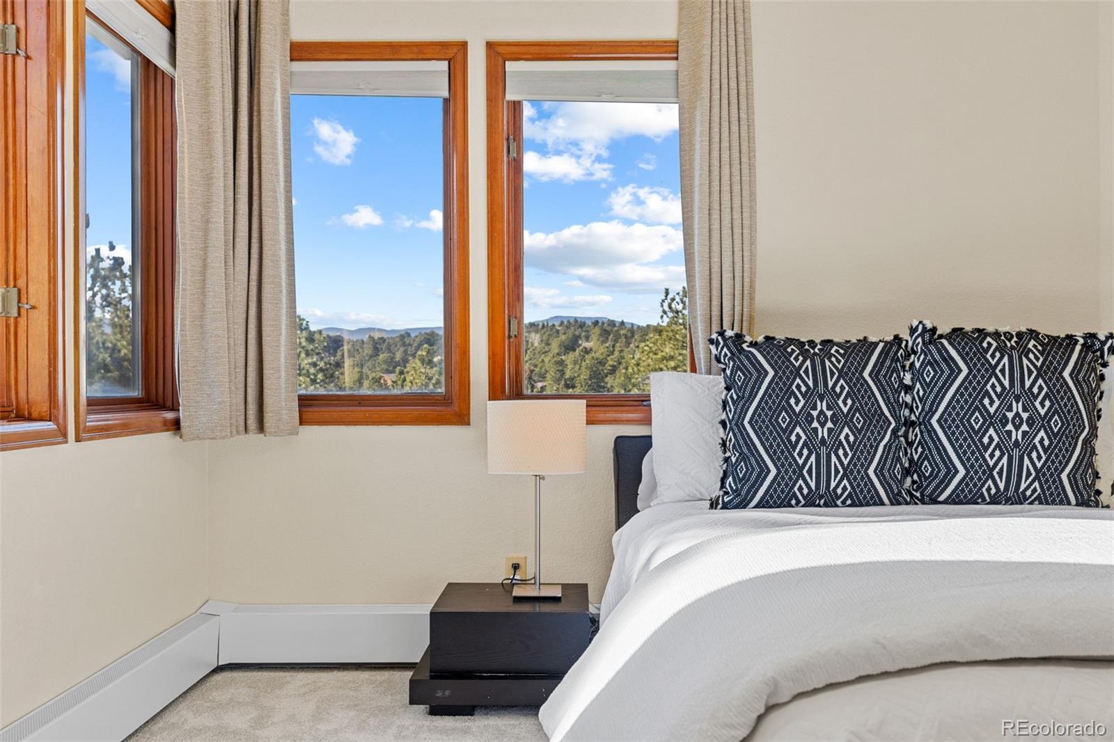 MLS Image #28 for 2122  cramner court,evergreen, Colorado