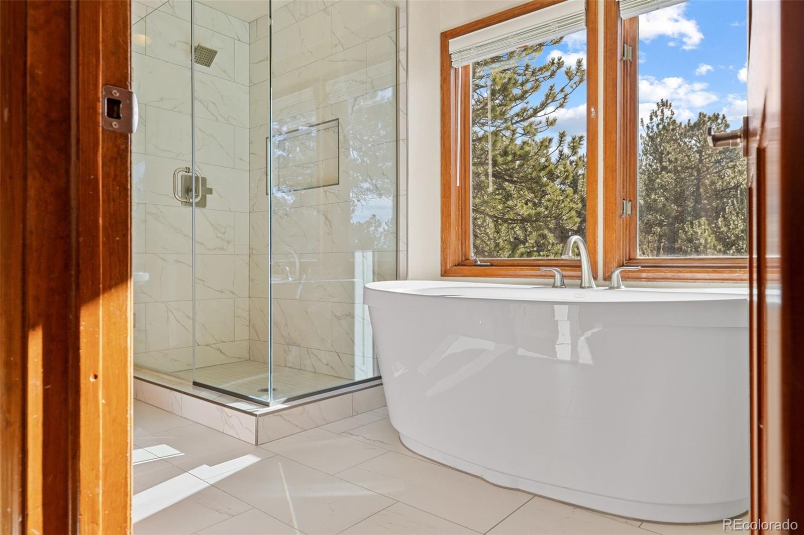 MLS Image #29 for 2122  cramner court,evergreen, Colorado