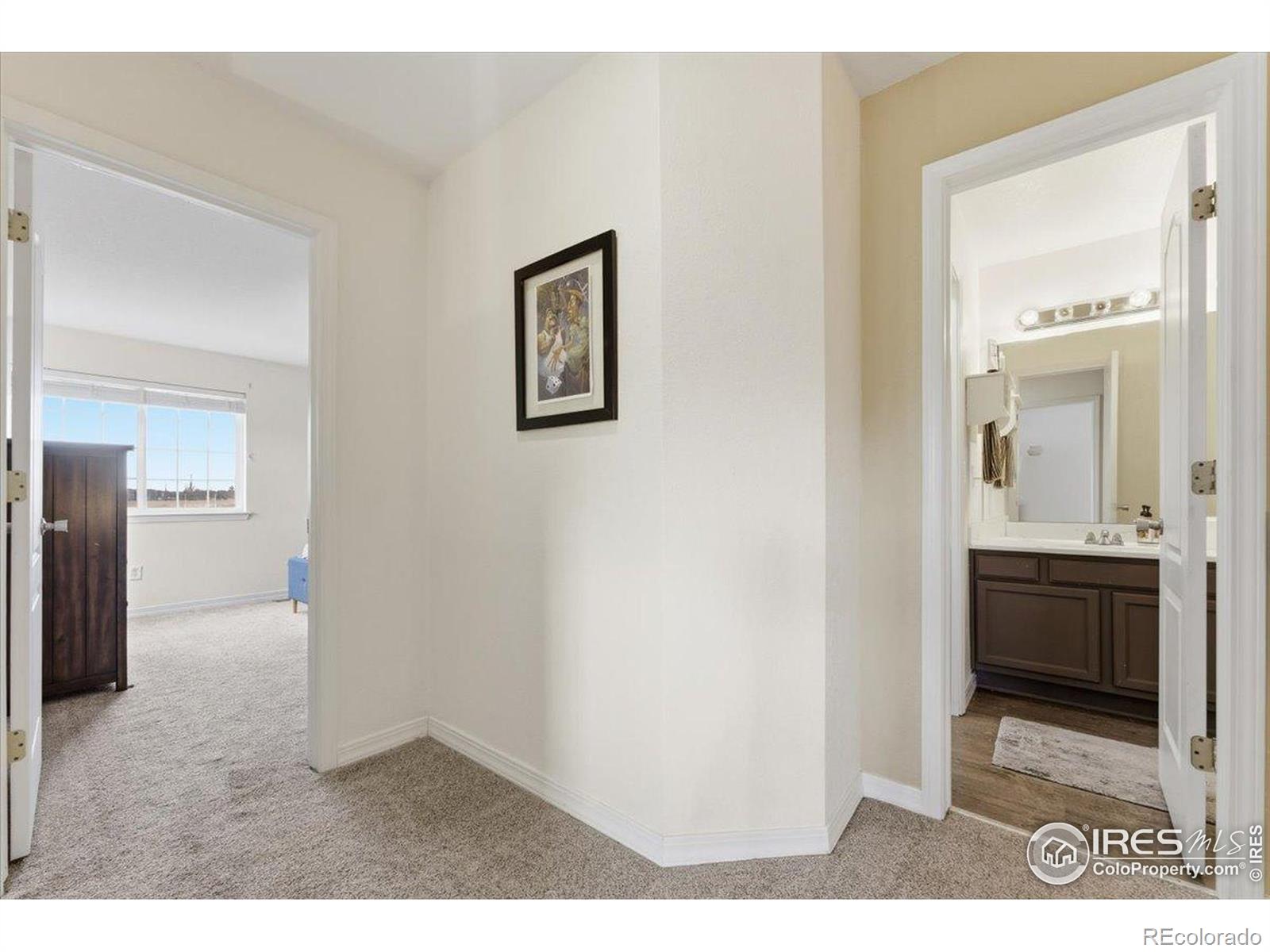 MLS Image #15 for 930  button rock drive,longmont, Colorado