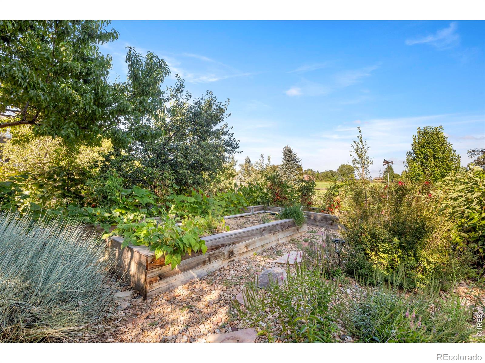 MLS Image #39 for 4918  hinsdale drive,fort collins, Colorado