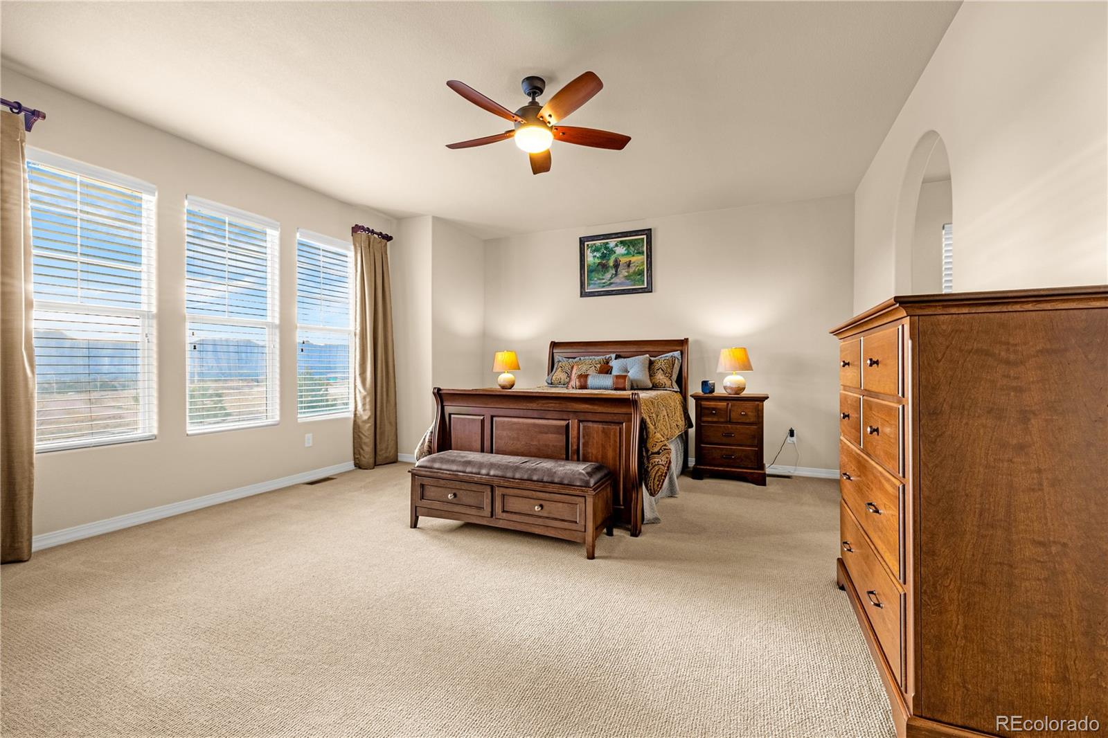 MLS Image #12 for 10322  webster pass court,colorado springs, Colorado