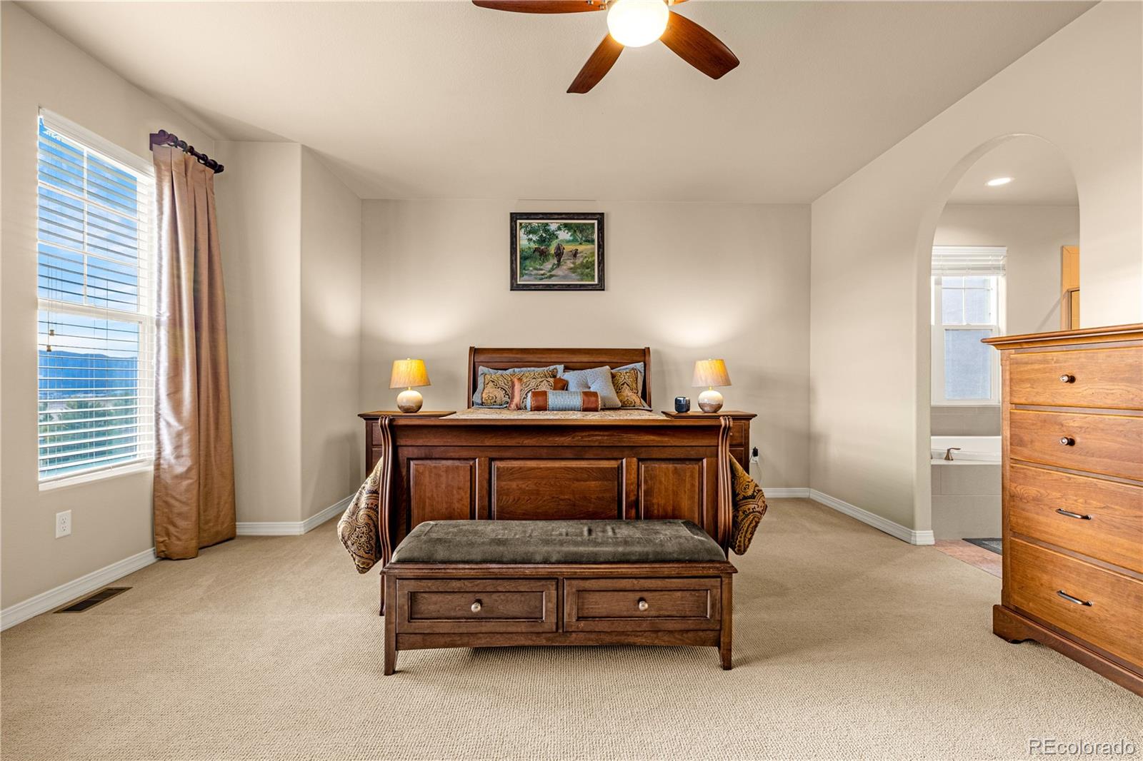 MLS Image #13 for 10322  webster pass court,colorado springs, Colorado