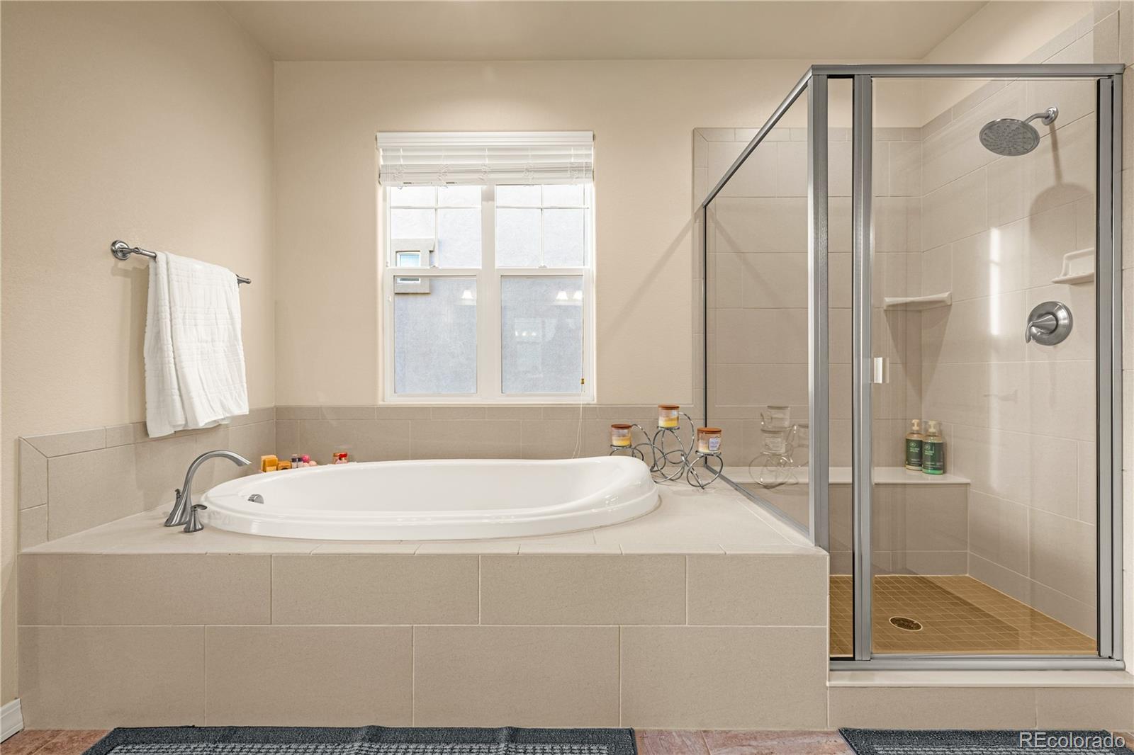 MLS Image #16 for 10322  webster pass court,colorado springs, Colorado