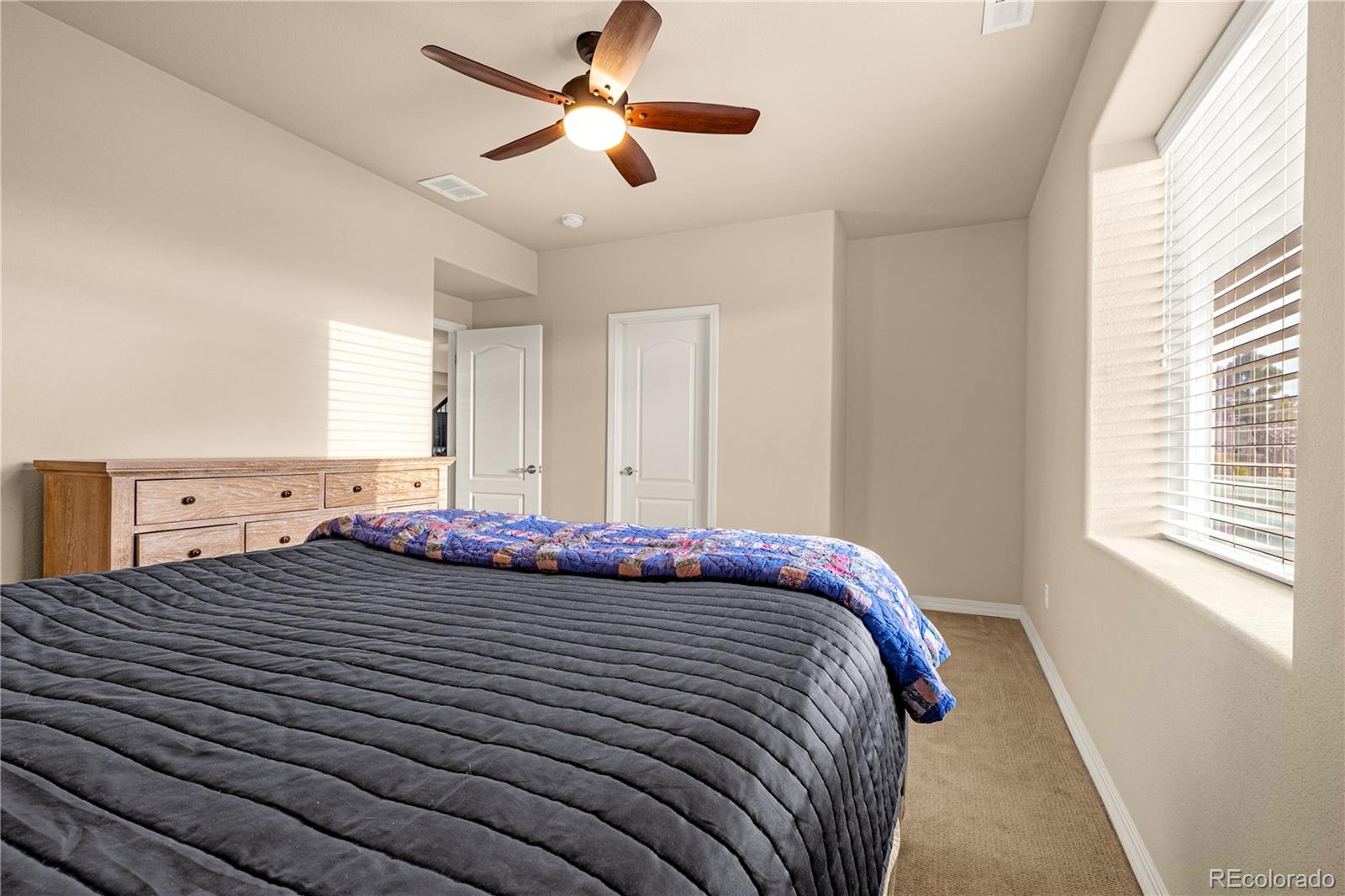 MLS Image #25 for 10322  webster pass court,colorado springs, Colorado