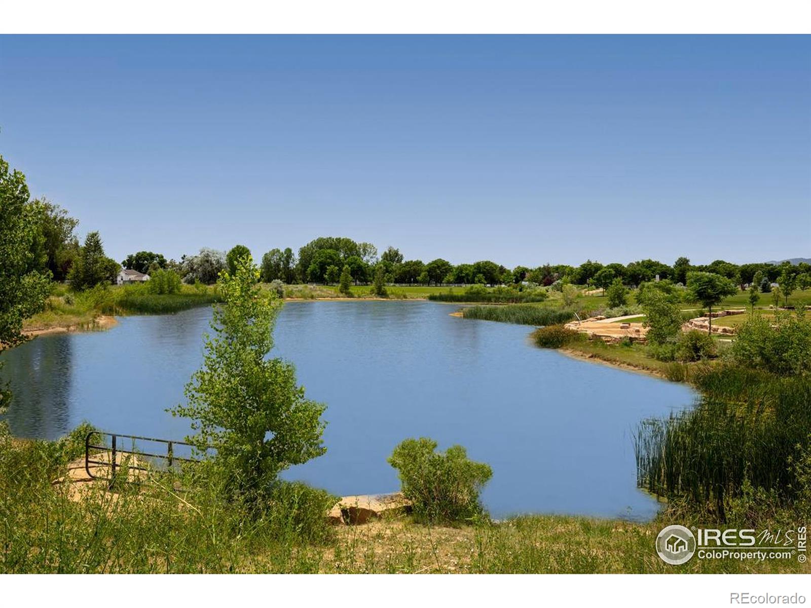 MLS Image #3 for 3240  sapinero drive,loveland, Colorado