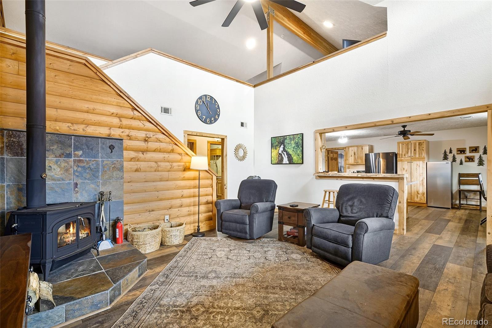 MLS Image #12 for 111  twinkle road,guffey, Colorado