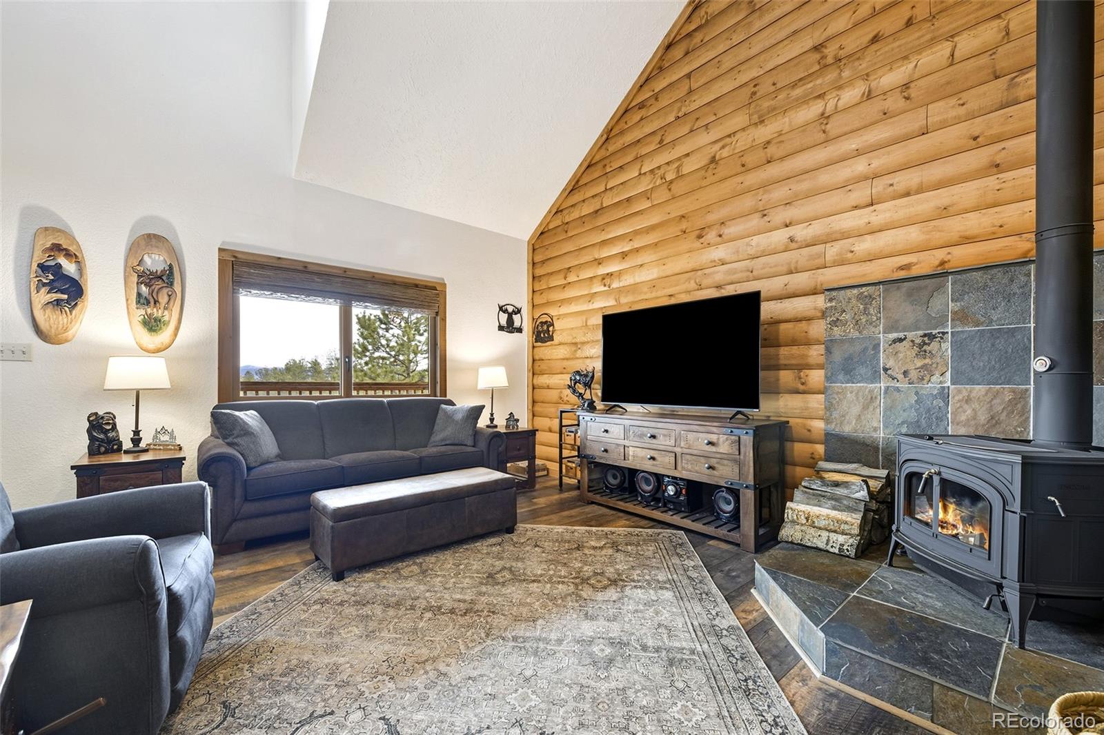 MLS Image #14 for 111  twinkle road,guffey, Colorado