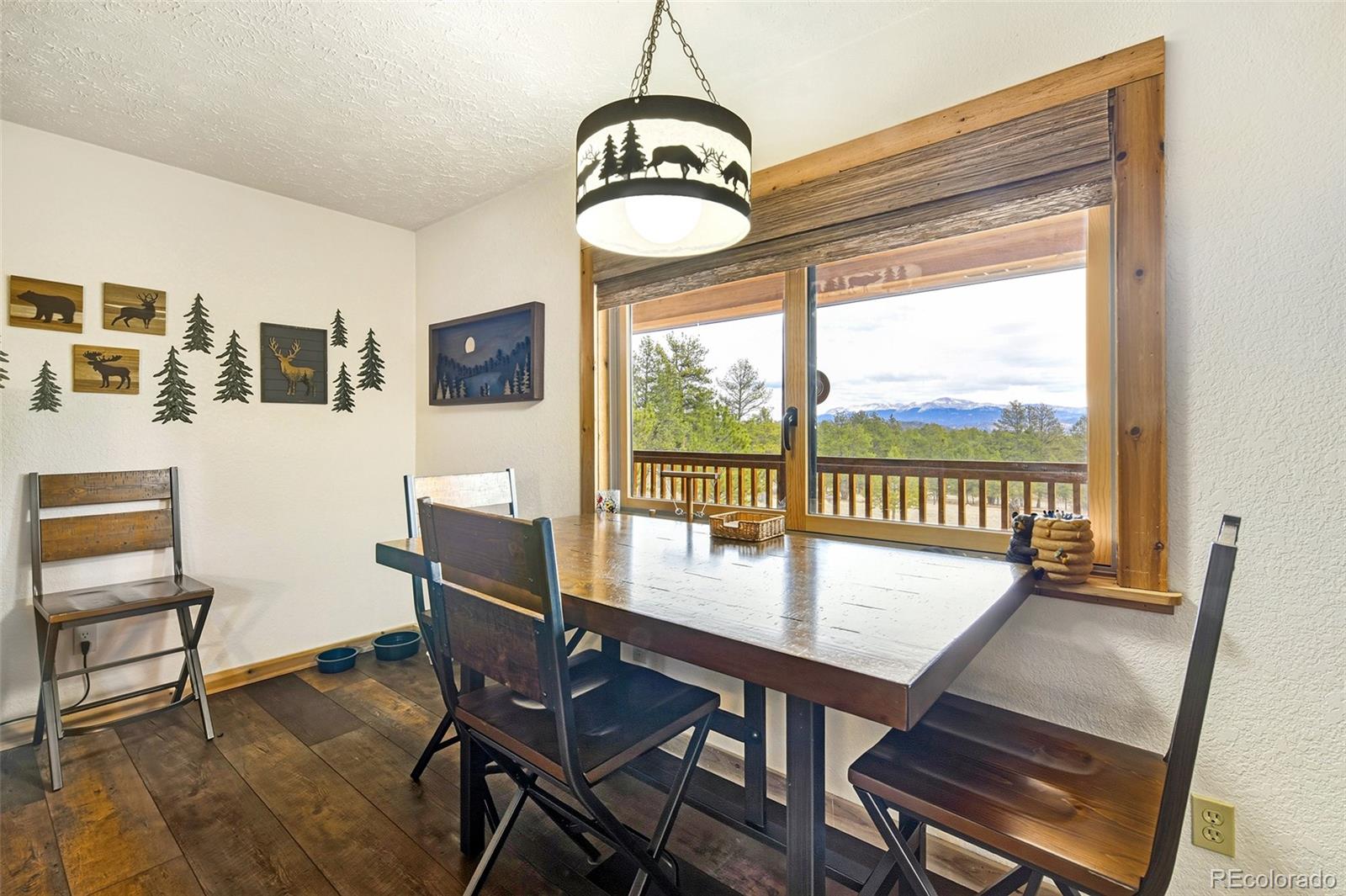MLS Image #18 for 111  twinkle road,guffey, Colorado