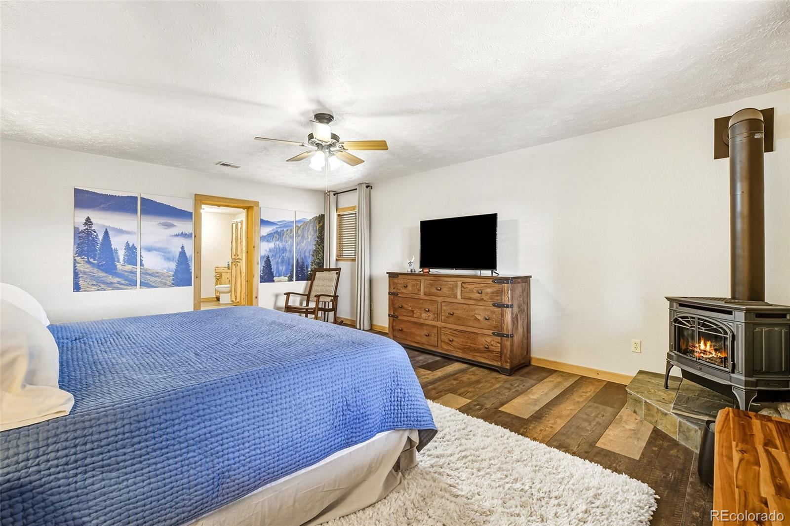 MLS Image #20 for 111  twinkle road,guffey, Colorado