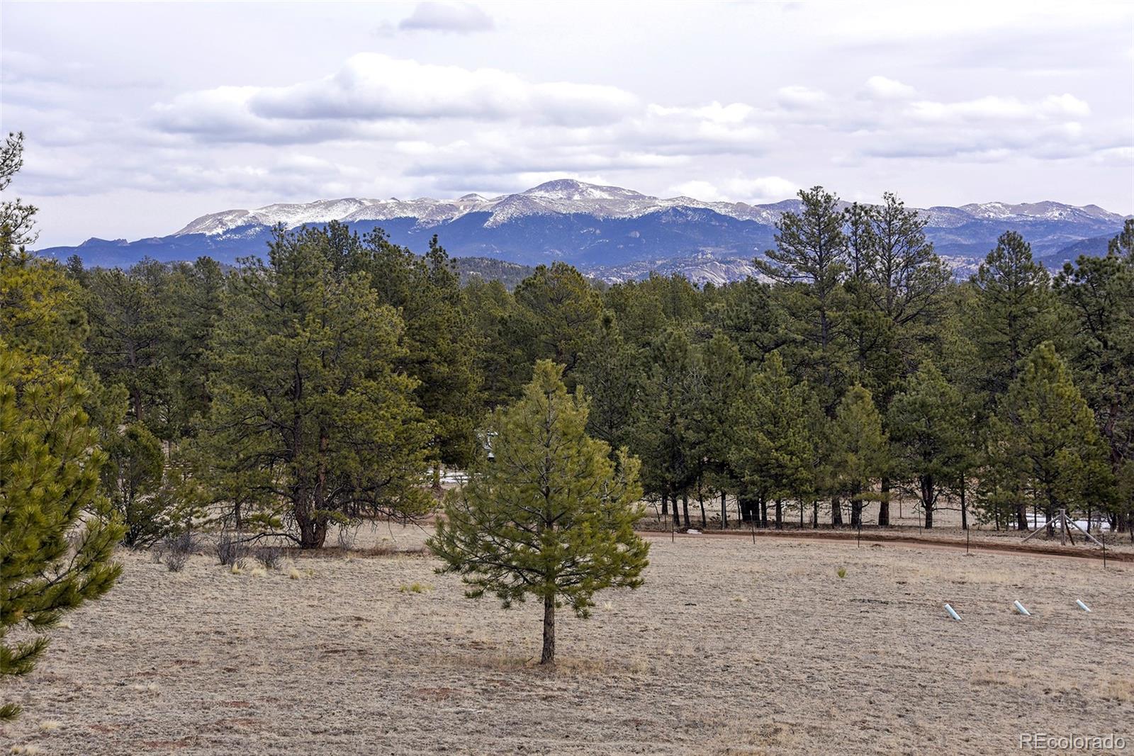 MLS Image #37 for 111  twinkle road,guffey, Colorado