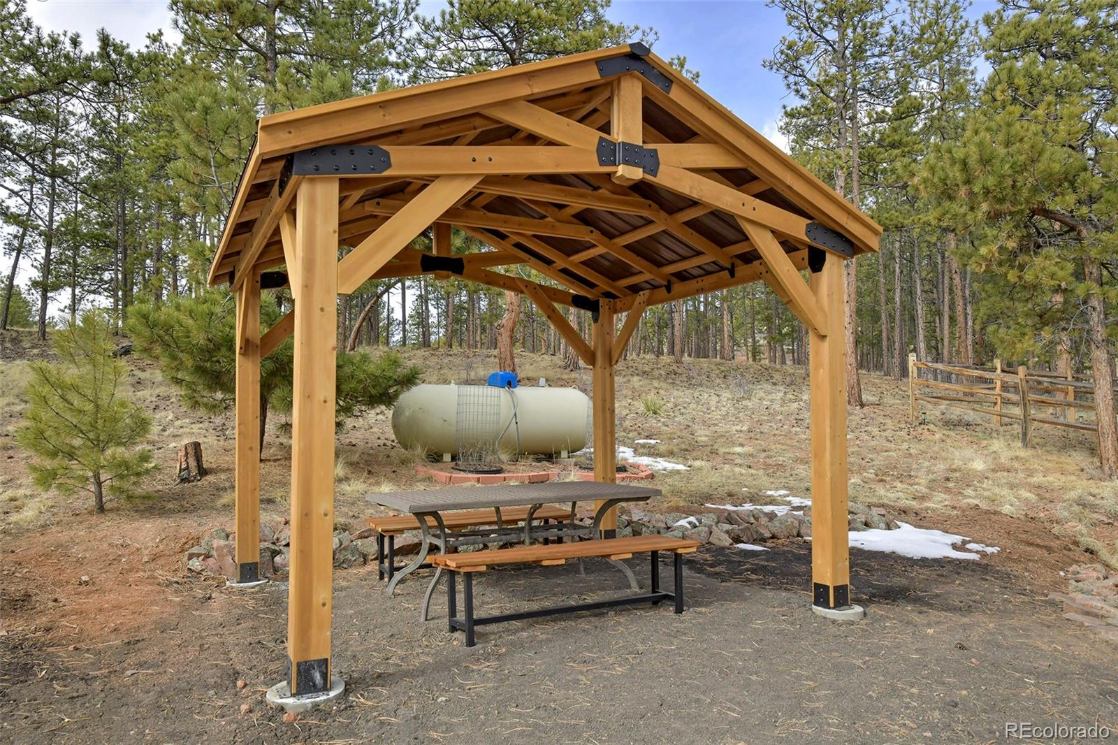 MLS Image #4 for 111  twinkle road,guffey, Colorado