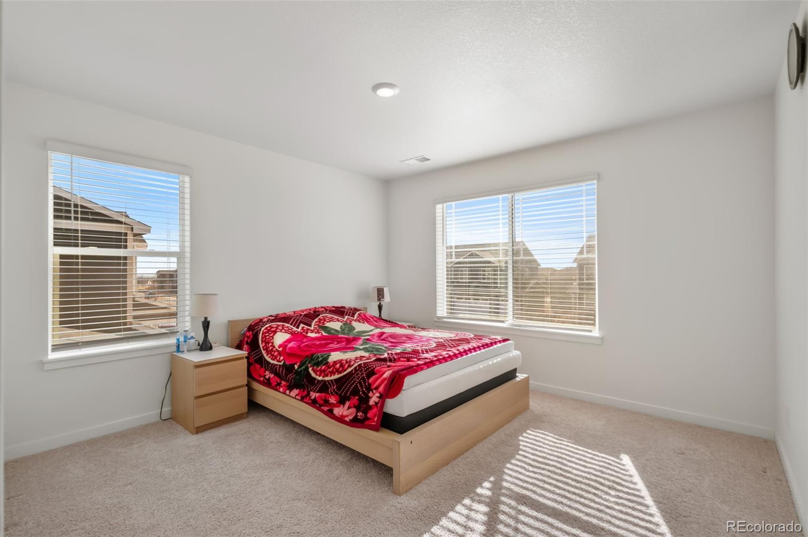 MLS Image #23 for 7427 e 159th place,thornton, Colorado