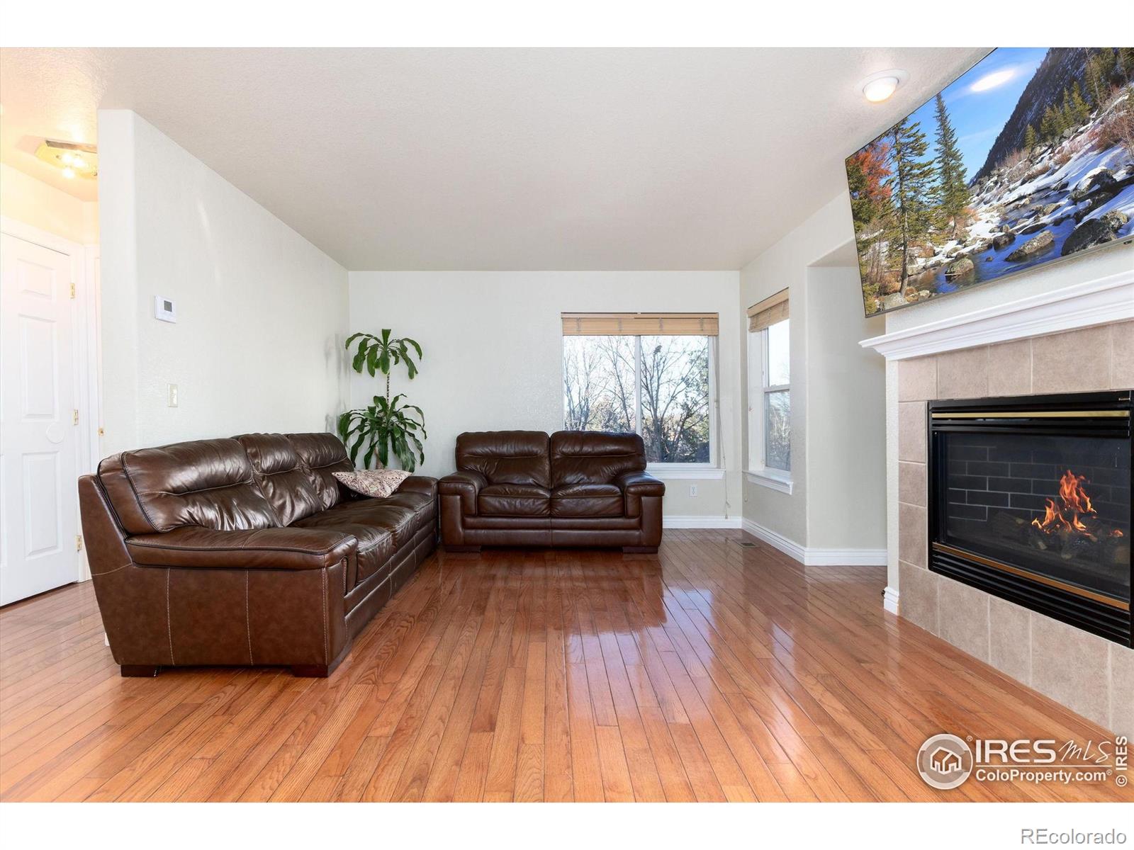 MLS Image #4 for 907  sanctuary circle,longmont, Colorado
