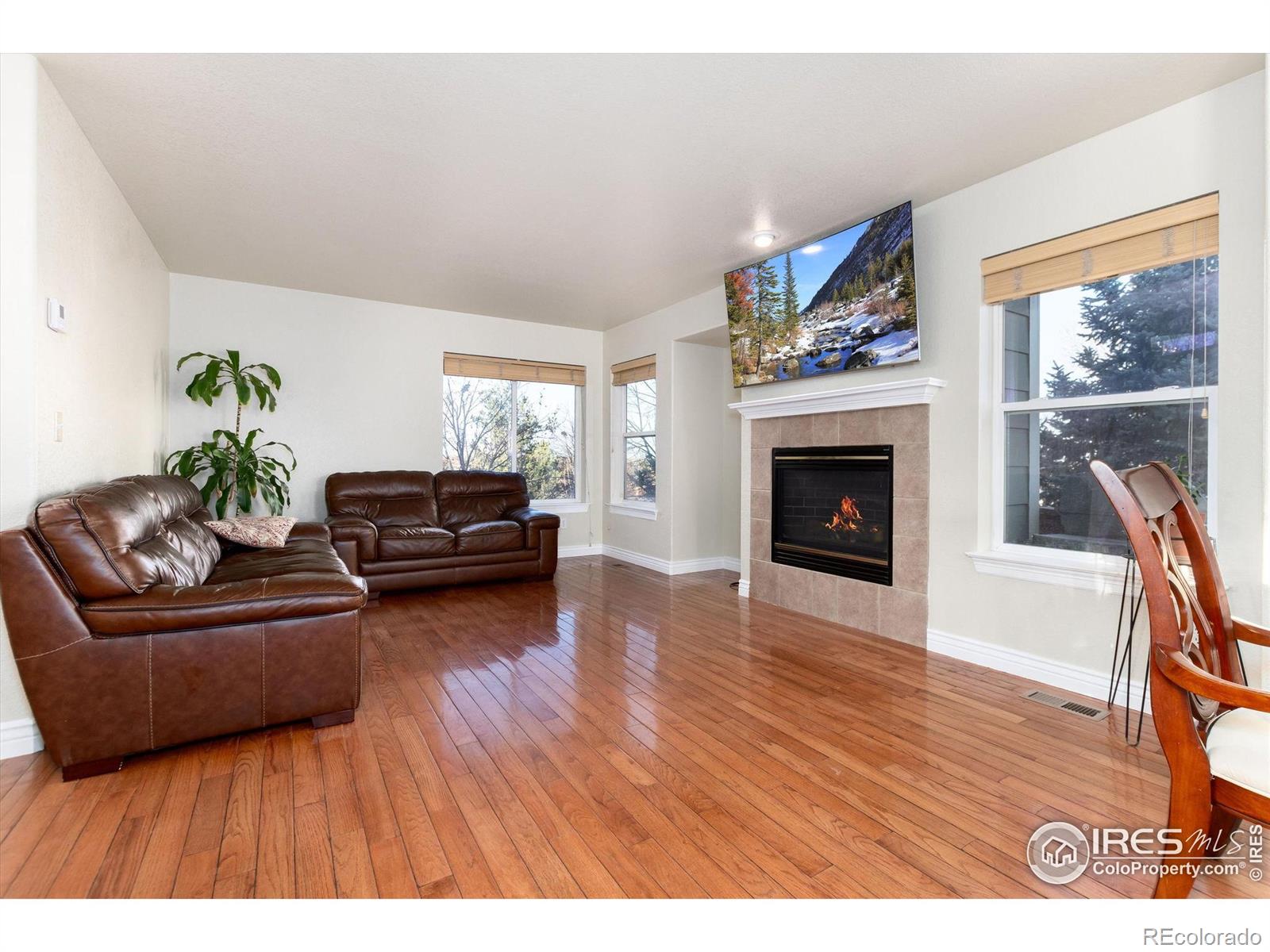 MLS Image #6 for 907  sanctuary circle,longmont, Colorado