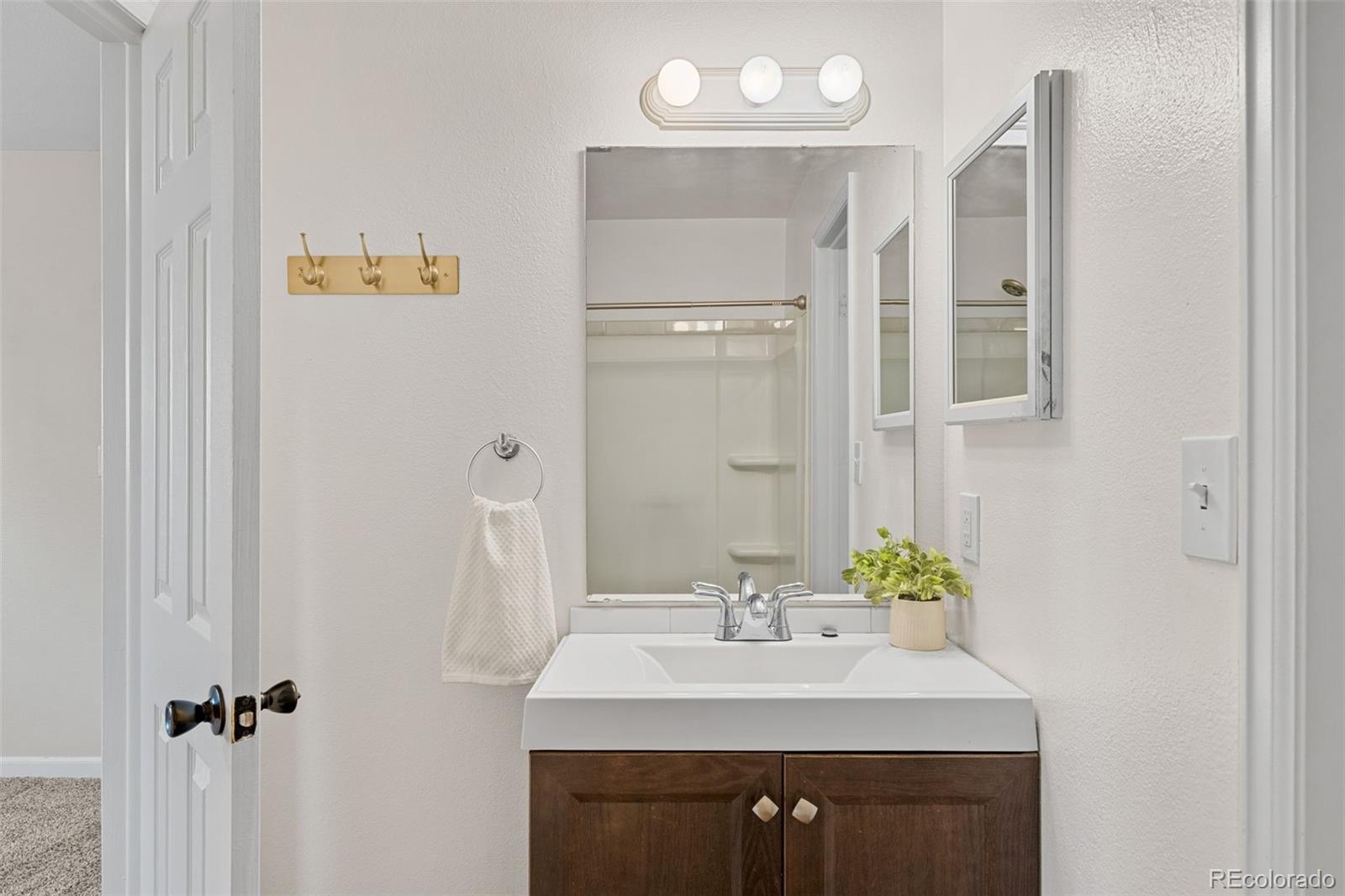 MLS Image #20 for 4621 s lowell boulevard ,denver, Colorado