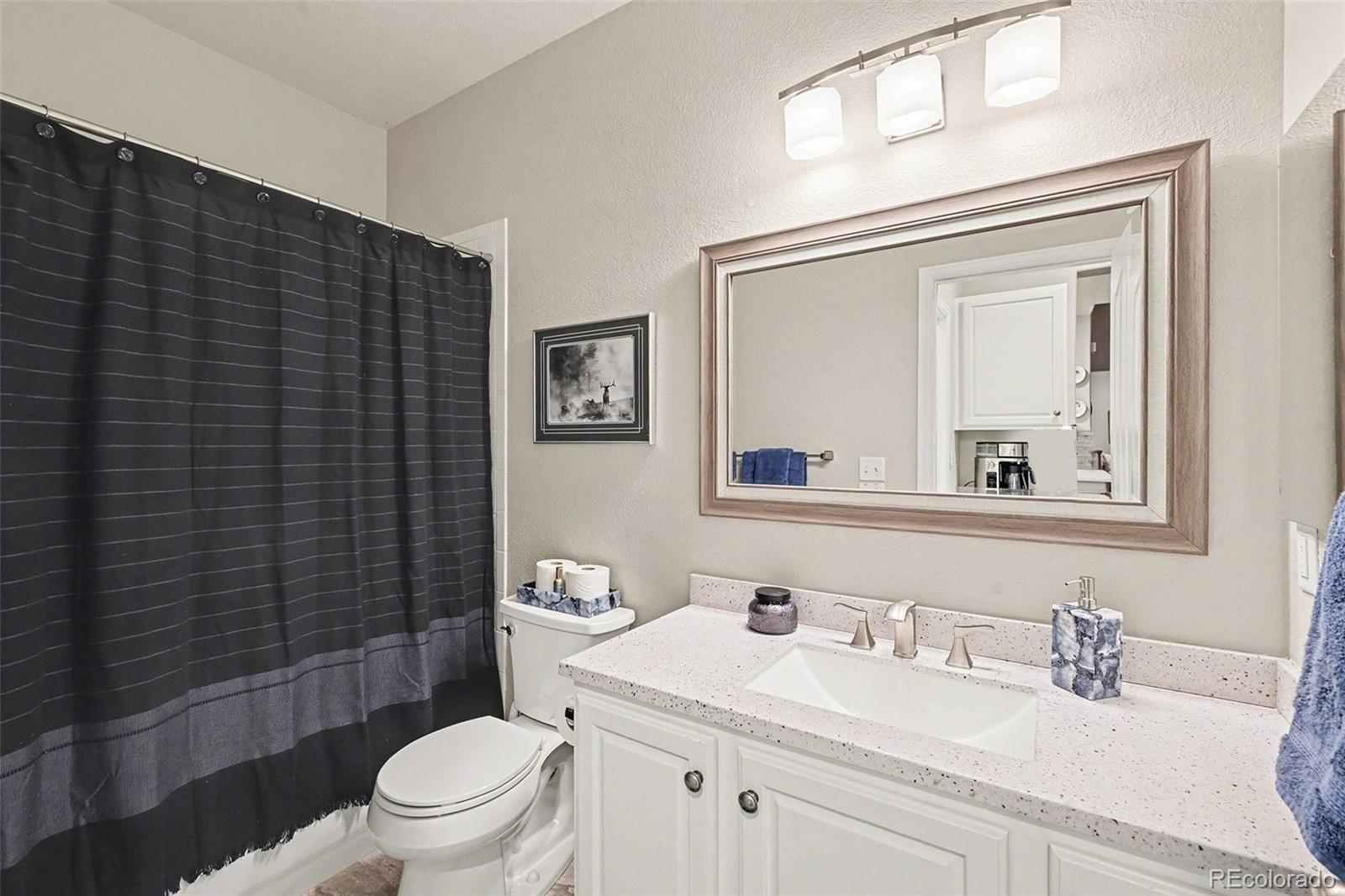 MLS Image #12 for 10546  graymont lane,highlands ranch, Colorado