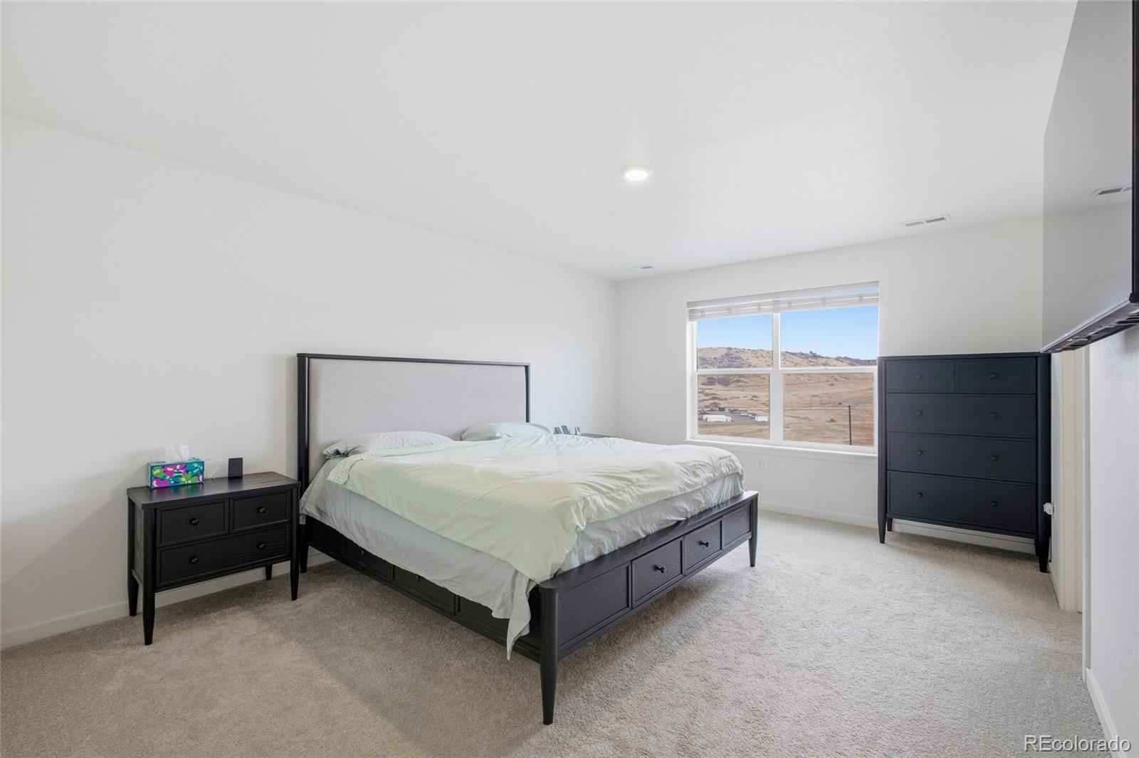 MLS Image #17 for 4564  cattle cross road,castle rock, Colorado