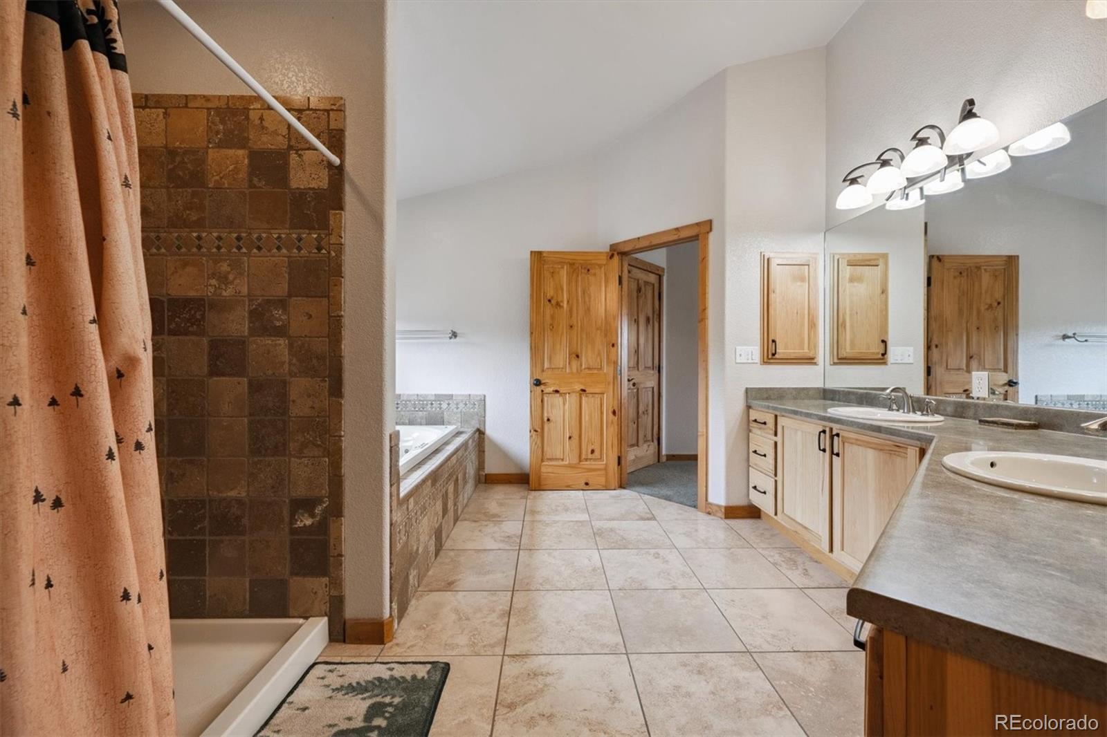 MLS Image #14 for 35  pickle point,black hawk, Colorado
