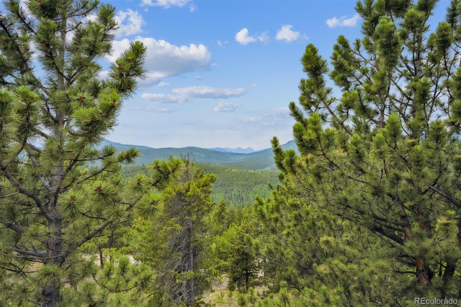 MLS Image #28 for 35  pickle point,black hawk, Colorado