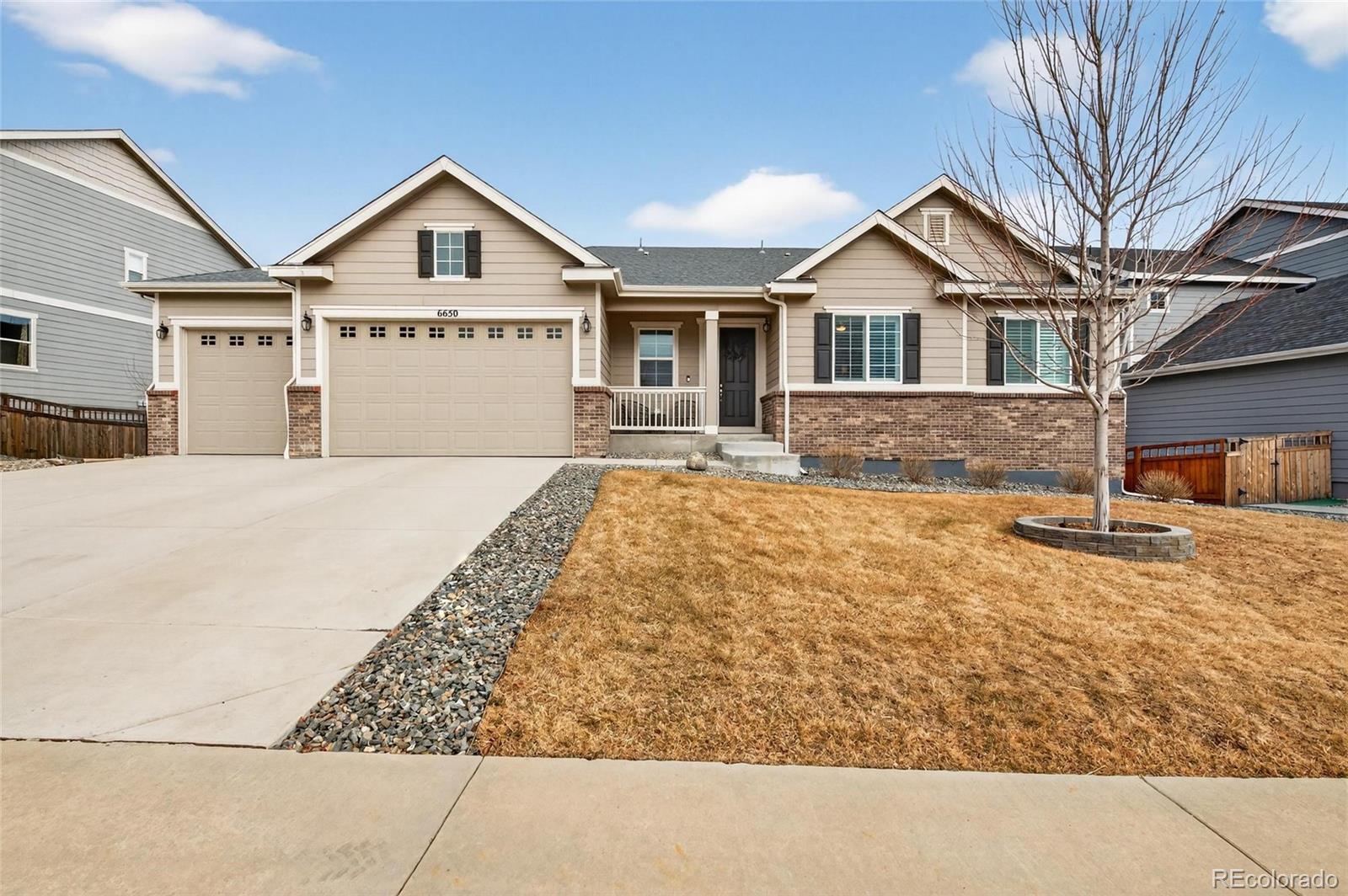 MLS Image #6 for 6650  mentha drive,castle rock, Colorado