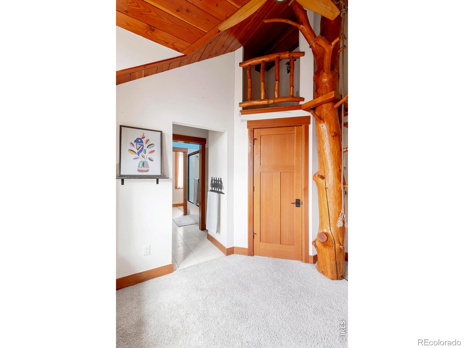 MLS Image #21 for 8642  mineral road,longmont, Colorado