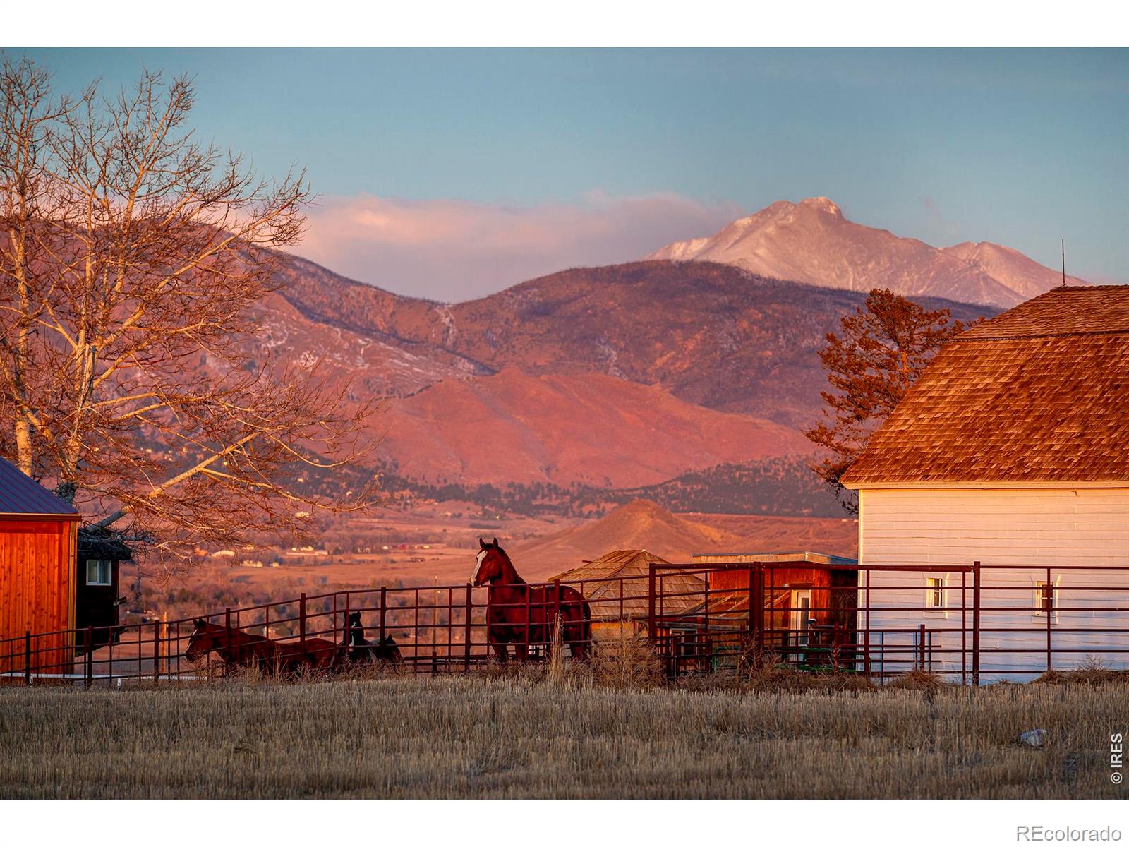 MLS Image #44 for 8642  mineral road,longmont, Colorado