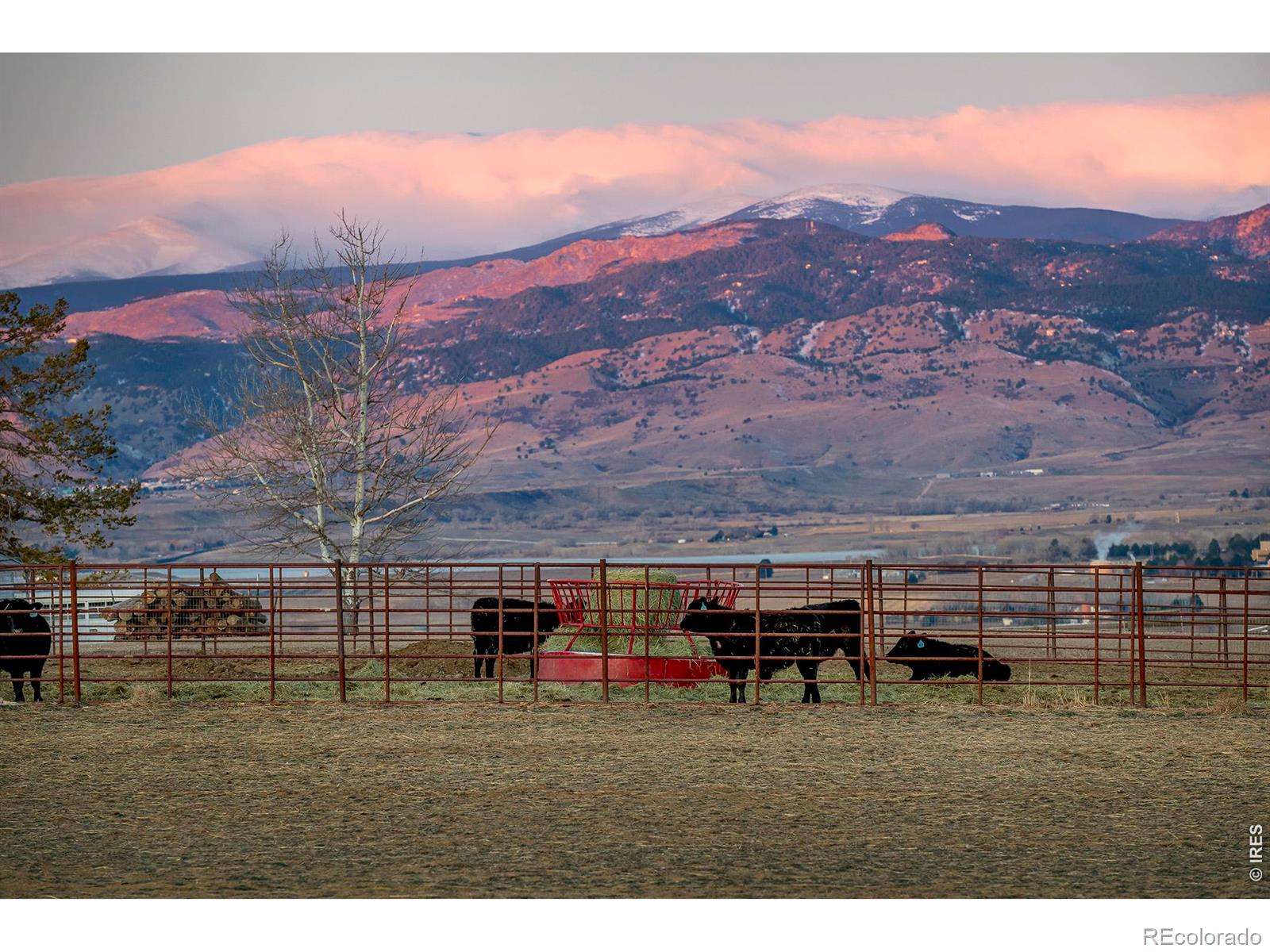 MLS Image #6 for 8642  mineral road,longmont, Colorado