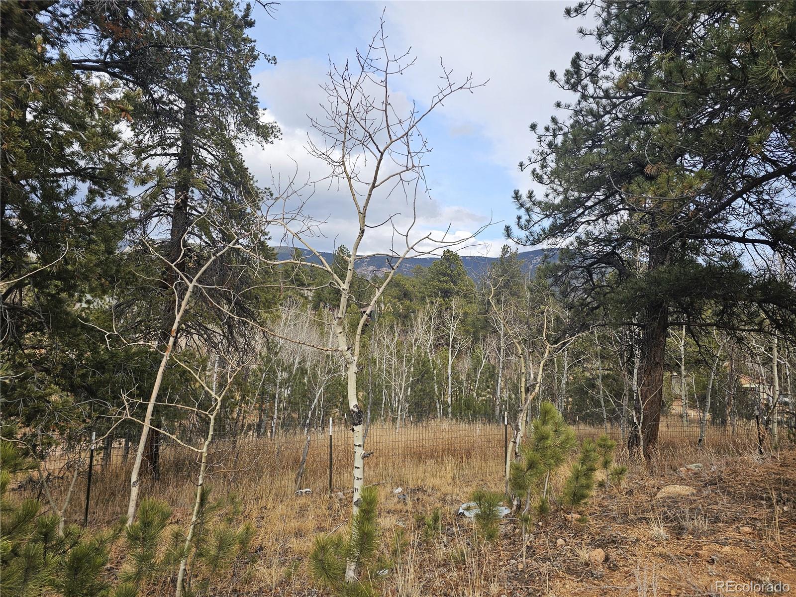 MLS Image #30 for 426  houston street,bailey, Colorado