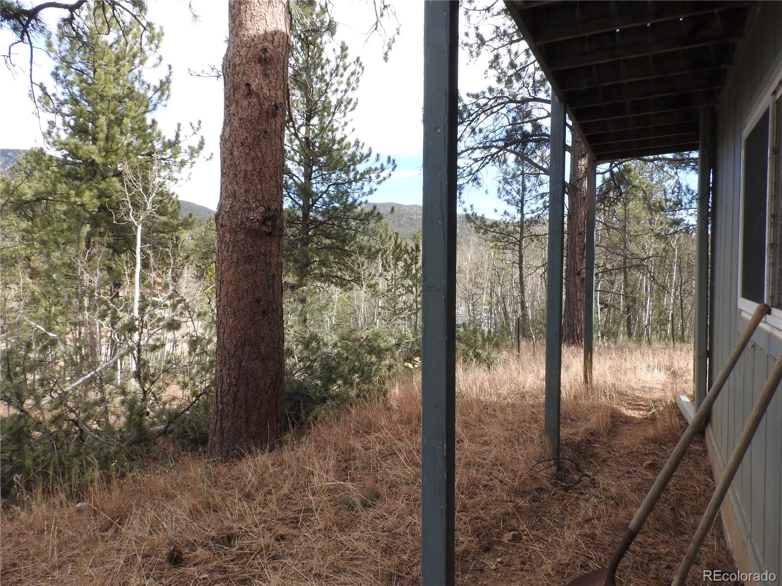 MLS Image #32 for 426  houston street,bailey, Colorado