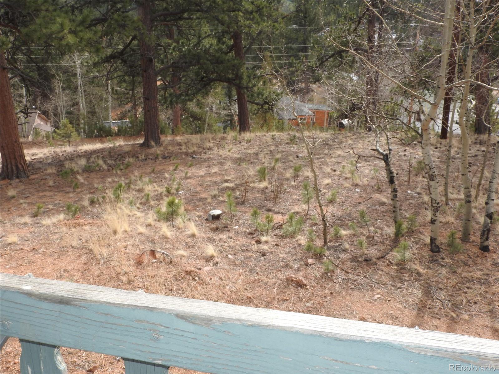 MLS Image #35 for 426  houston street,bailey, Colorado