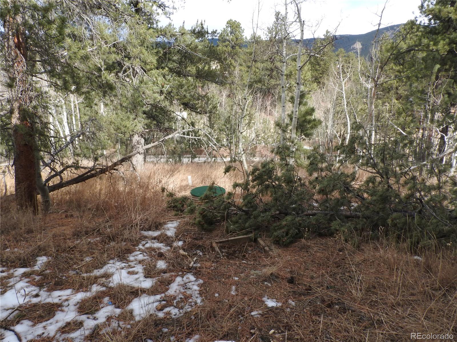 MLS Image #36 for 426  houston street,bailey, Colorado