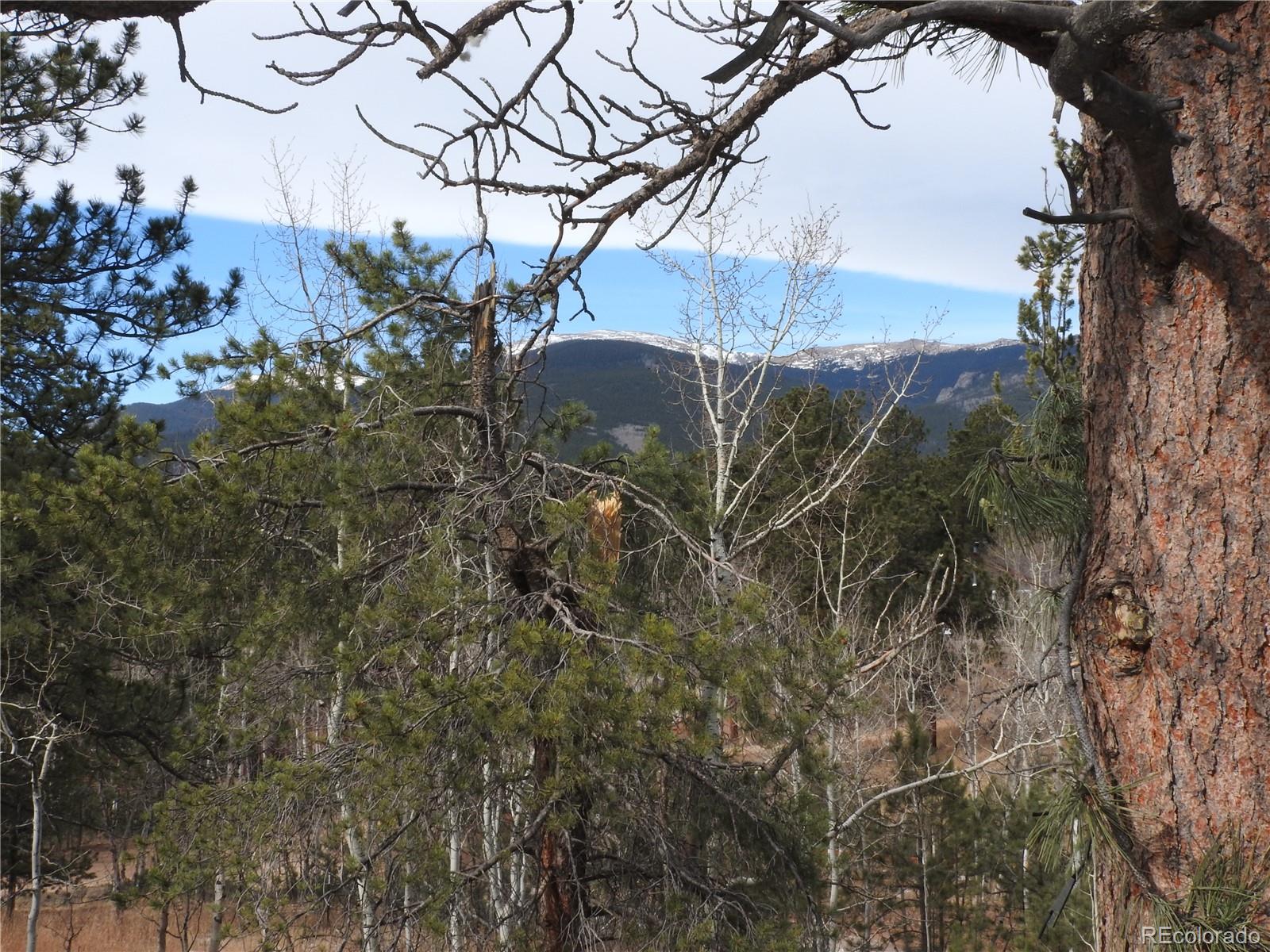 MLS Image #39 for 426  houston street,bailey, Colorado