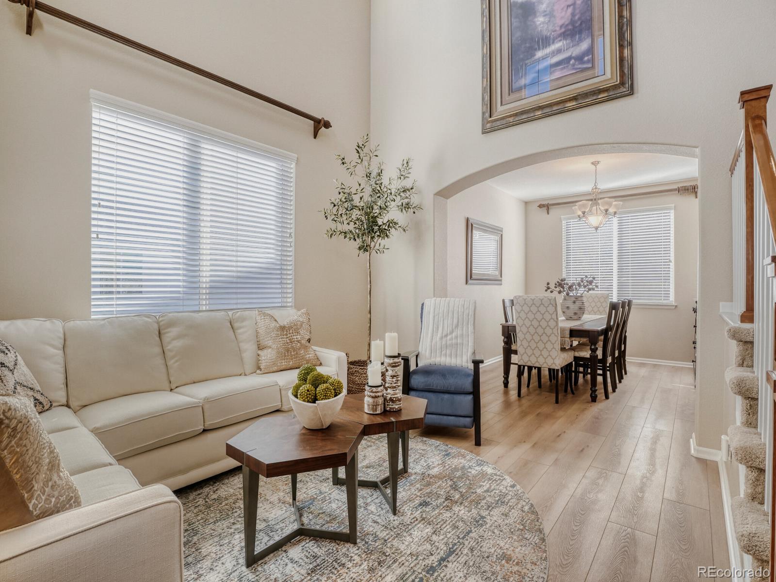 MLS Image #5 for 10919  bellbrook circle,highlands ranch, Colorado