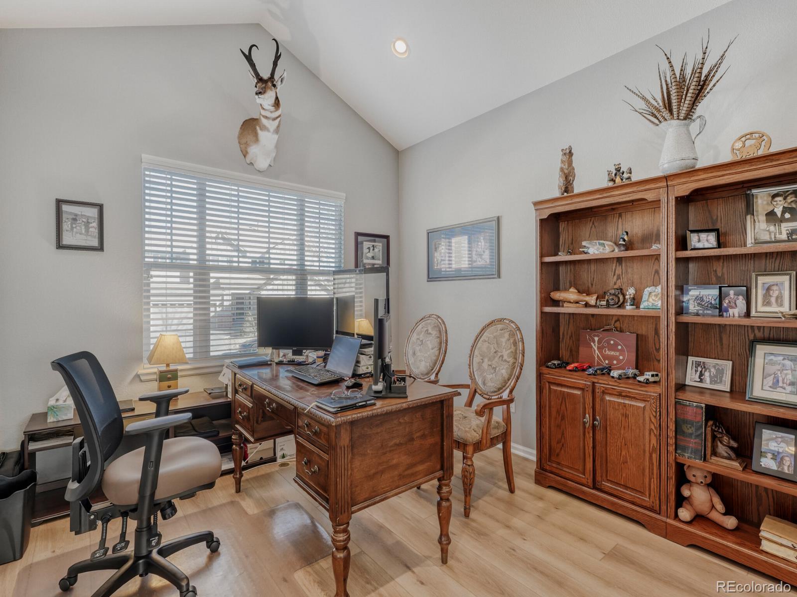 MLS Image #8 for 10919  bellbrook circle,highlands ranch, Colorado