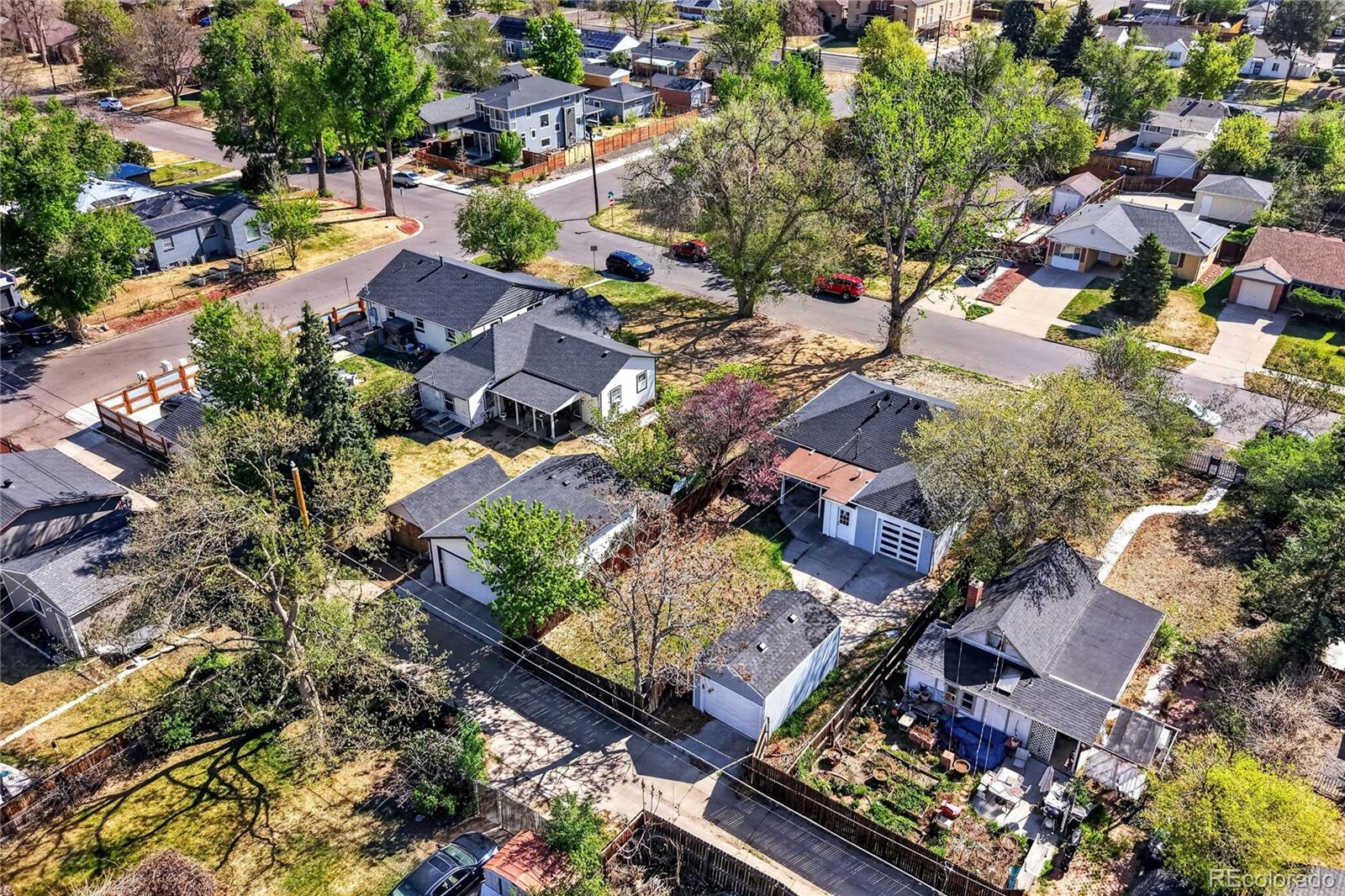 MLS Image #36 for 1567  rosemary street,denver, Colorado