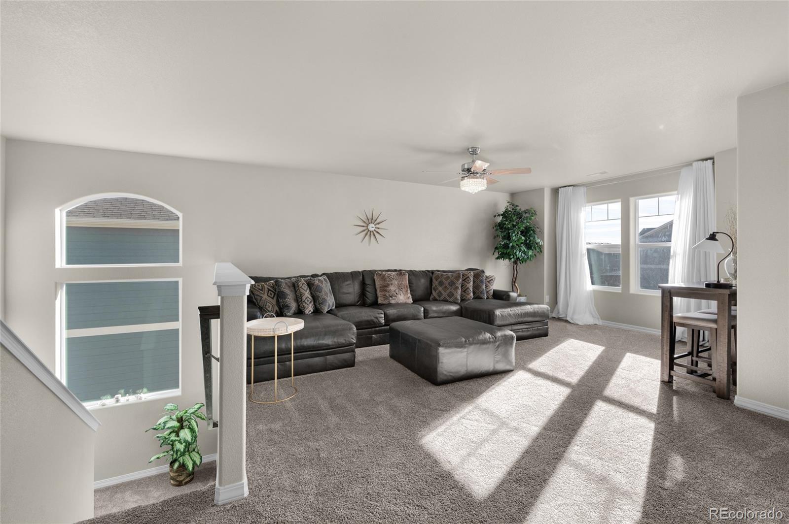 MLS Image #17 for 9033  yellowtail way,colorado springs, Colorado