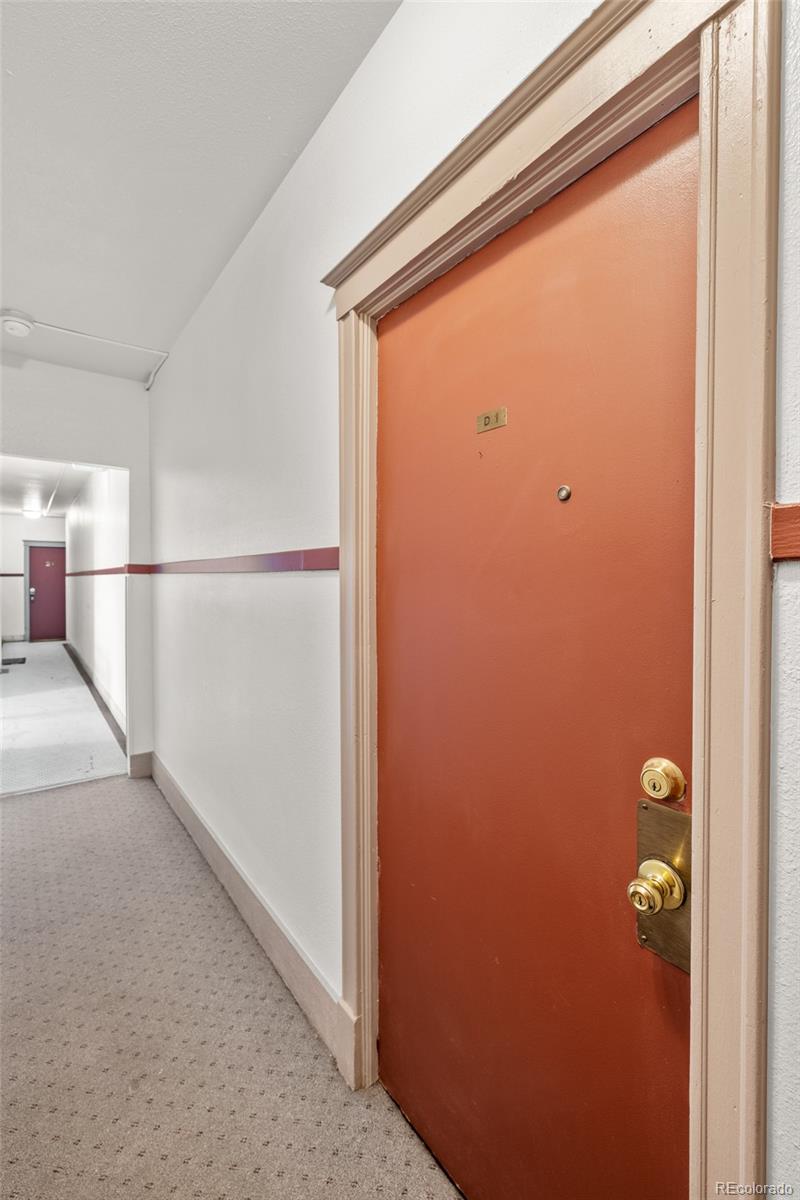 MLS Image #29 for 215 e 11th avenue d1,denver, Colorado