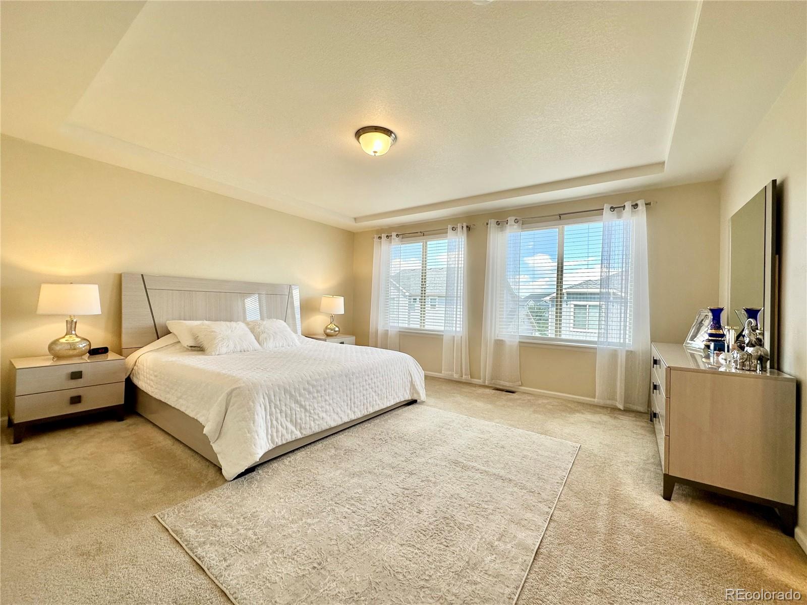 MLS Image #17 for 17955 e 107 place,commerce city, Colorado