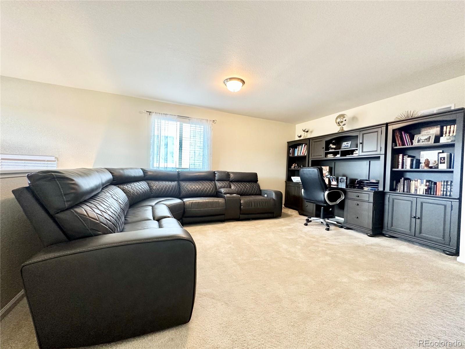 MLS Image #27 for 17955 e 107 place,commerce city, Colorado