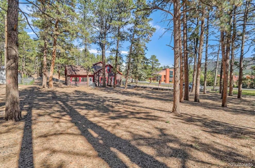 MLS Image #47 for 312 n west street,woodland park, Colorado