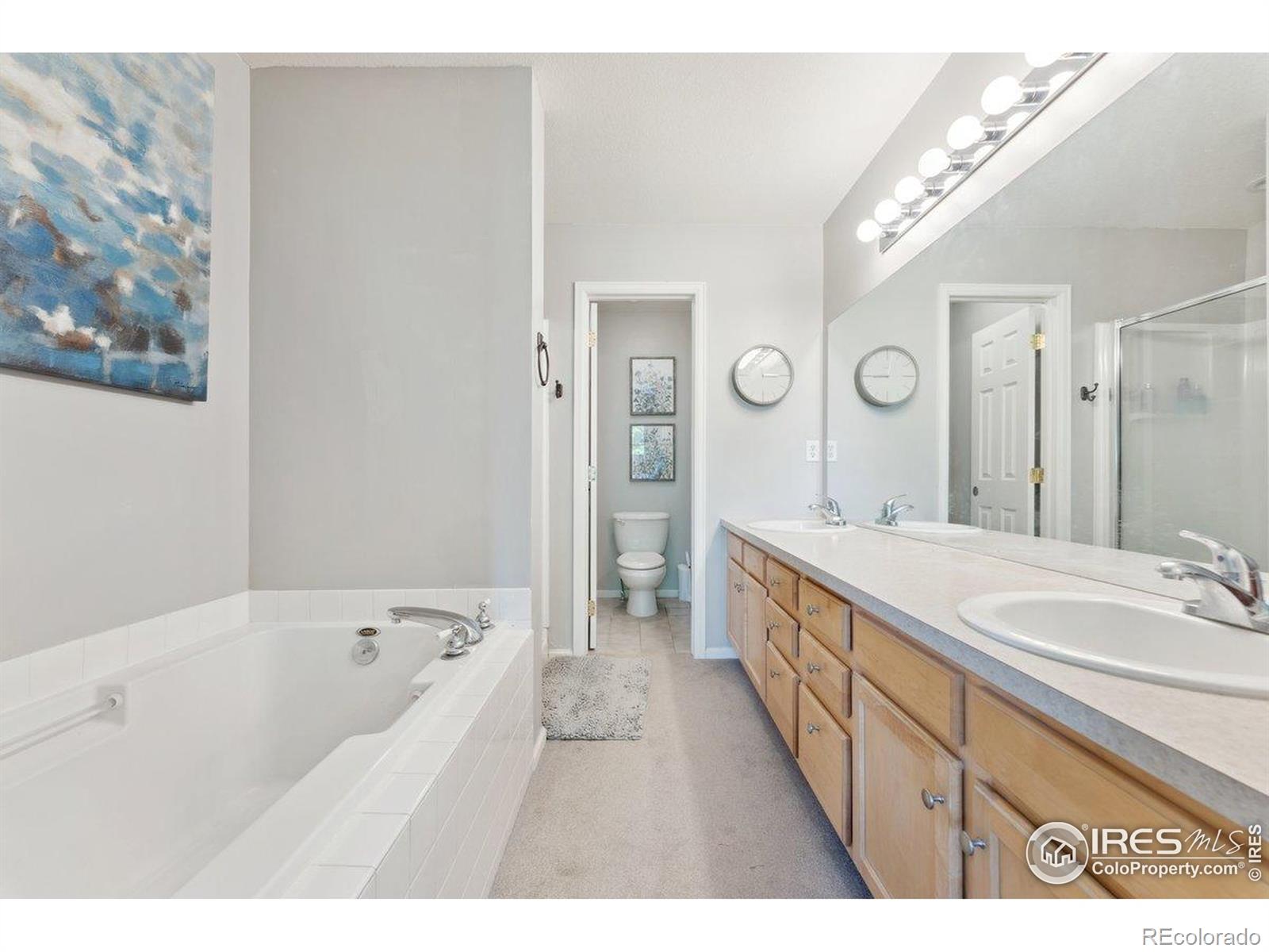 MLS Image #8 for 1983  piney river drive,loveland, Colorado