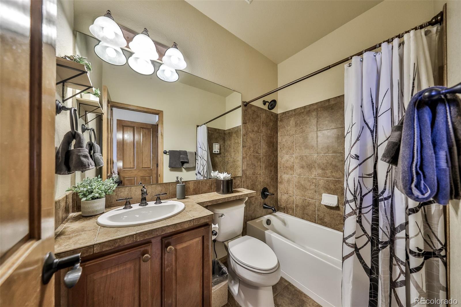MLS Image #18 for 113  summit point lane,granby, Colorado