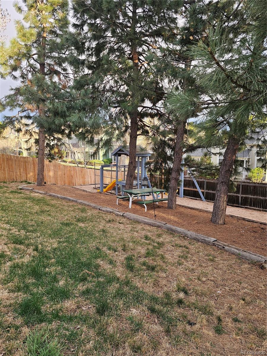MLS Image #14 for 11016  brownstone drive,parker, Colorado