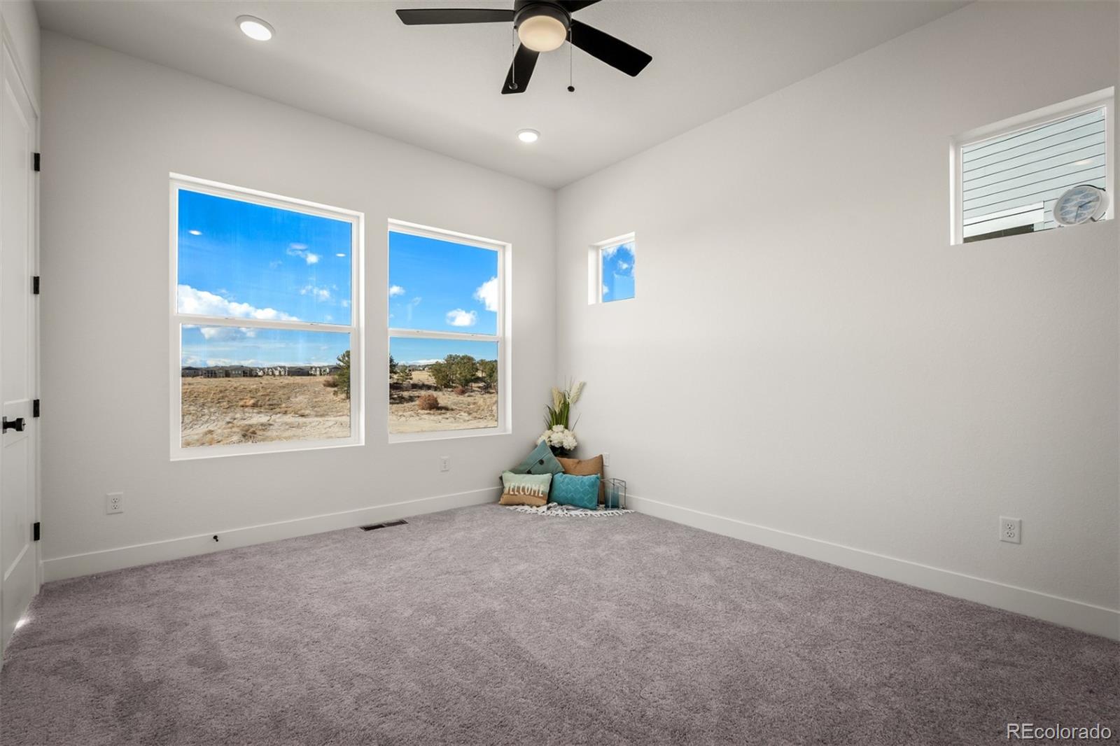 MLS Image #16 for 8990  frolic view,colorado springs, Colorado