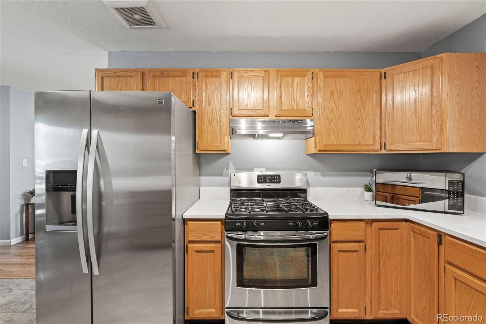MLS Image #18 for 1323  server drive,colorado springs, Colorado