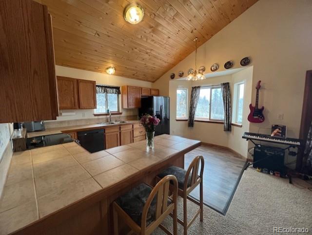 MLS Image #13 for 1257  chippewa road,jefferson, Colorado