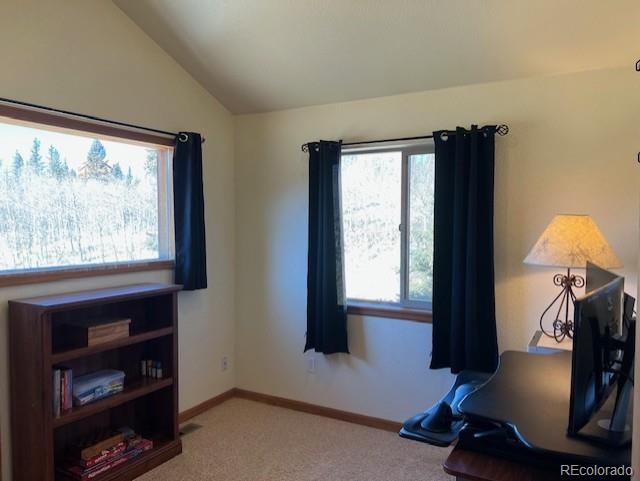 MLS Image #20 for 1257  chippewa road,jefferson, Colorado