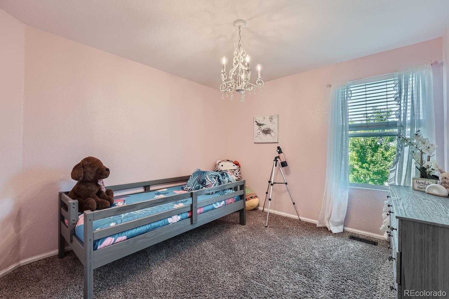 MLS Image #9 for 16685  trail sky circle,parker, Colorado