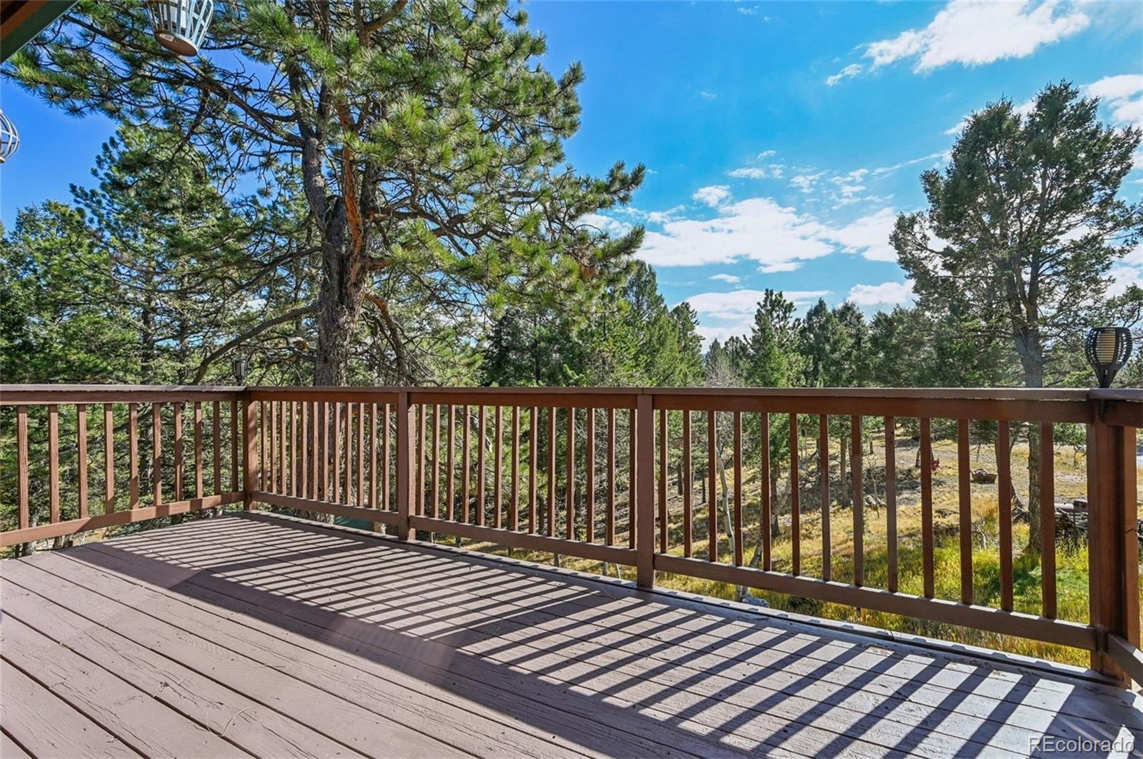 MLS Image #41 for 78  barr lake circle,divide, Colorado