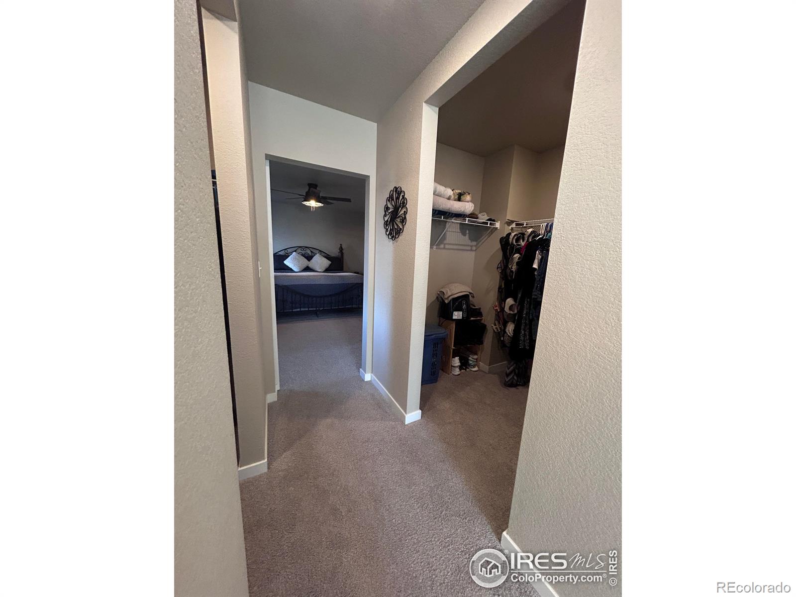 MLS Image #26 for 1202  coyote lane,wiggins, Colorado